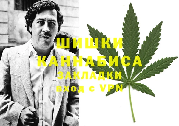 дурь Арсеньев
